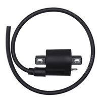 DZE ELEKTRYKA uždegimo ritė pakaitalas 10179-01 4041-01 10064-01 4054-01