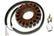 ELECTREX statorius HONDA SUZUKI YAMAHA