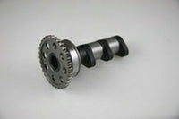 HOT CAMS paskirstymo velenas YAMAHA YZF 450 '06-'09 WRF 450 '03-'15 YFZ 450 '04-'09 įsiurbimo