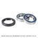 PROX galinio rato guoliai su sandarikliais SUZUKI DRZ 400 E/S/SM '00-'16 25-1117