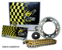 REGINA pavaros komplektas DUCATI MONSTER 1000 '03-'05 GT 1000 '06-'10 15/39/100 525ZRP grandinė